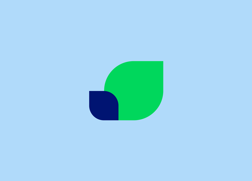 Illustration zweier Blätter vor blauem Hintergrund