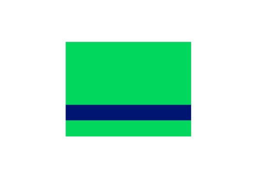 Icon Girokarte