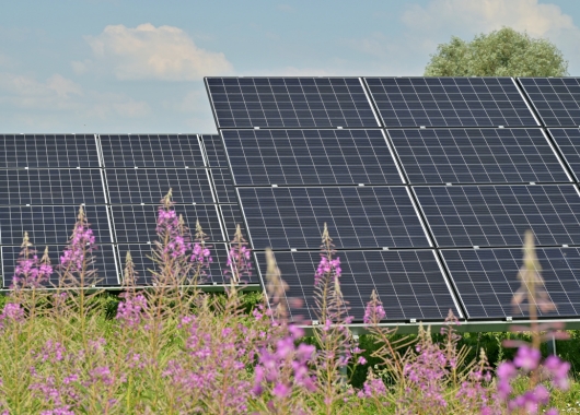 Photovoltaik auf Freiflächen | Finanzierung mit der GLS BankPV auf Freiflächen? Klare Kriterien als Rahmen 