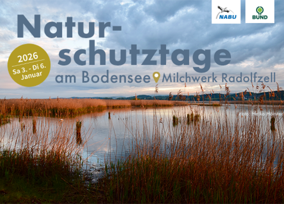 Vorschaubild zur Veranstaltung: Naturschutztage Radolfzell - Wege zu mehr Biodiversit&auml;t