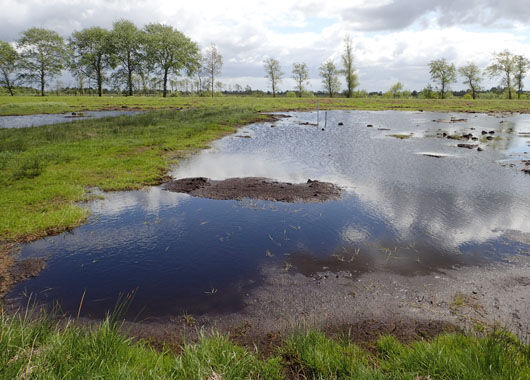 GLS Bank fördert Klimaschutzprojekte