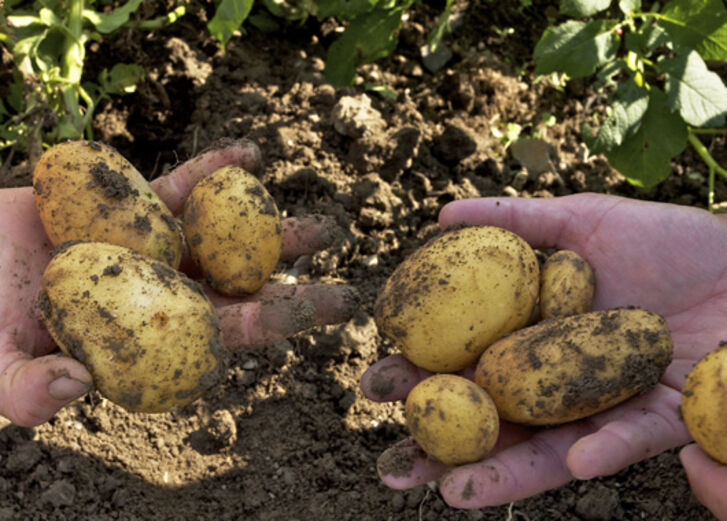 Mehr lesen zu „Öko-Landwirtschaft stärken und Anteilseigner werden“