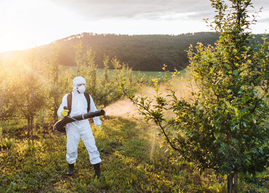 Studie: Pestizid-Abgabe könnte Pestizideinsatz halbieren