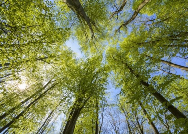 Mehr lesen zu „GLS Bank fördert nachhaltige Startups mit Kapital, Know-How und Kontakten“