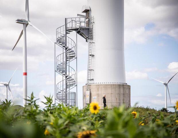 Sparbrief Erneuerbare Energien Windpark mit Sonnenblumen im Vordergrund