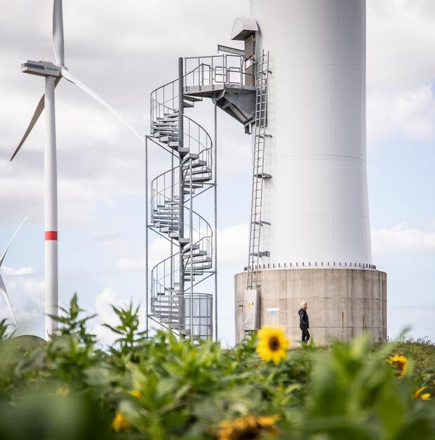 Windpark mit Sonnenblumen im Vordergrund