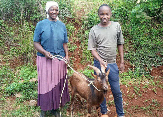 GLS Bank Blog: Blick nach Kenia - Eine Ziege hilft gegen Hunger