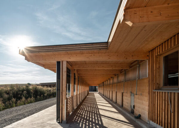 Stallneubau aus Holz bei strahlender Sonne.
