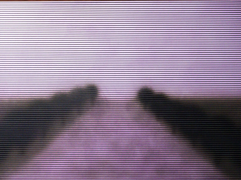 Eine verschwommene violette Straße mit dunklen Bäumen auf beiden Seiten, gesehen durch horizontale Linien.