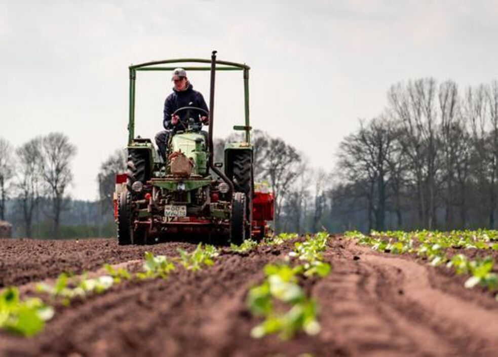 Vorschaubild zur Veranstaltung: Die Saat geht auf