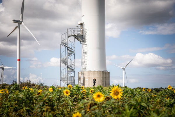 Windkraftanlagen in einem Sonnenblumenfeld.