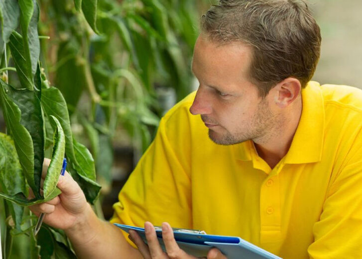 Mehr lesen zu „Lockerung bei Gentechnik ablehnen! Schreib Deinen EU-Abgeordneten.“