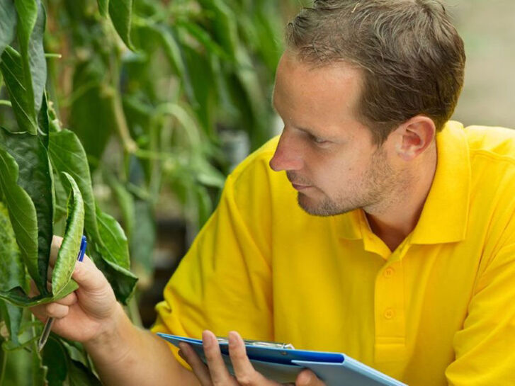 Mehr lesen zu „Lockerung bei Gentechnik ablehnen! Schreib Deinen EU-Abgeordneten.“