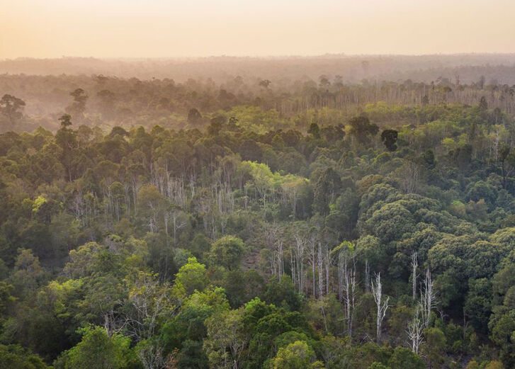 Mehr lesen zu „COP30: Der Klimagipfel im Regenwald“