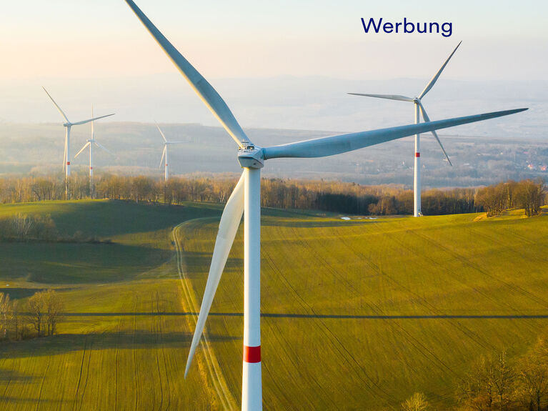 Windkraftanlagen auf grasbewachsenen Hügeln mit Bäumen und fernen Bergen unter einem klaren Himmel.