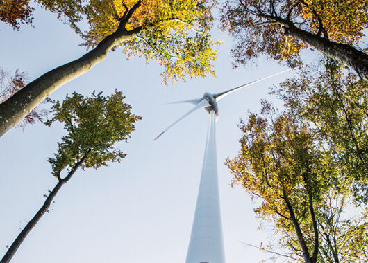 Windkraftanlage zwischen Bäumen