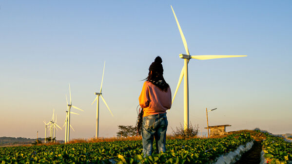 Eine Person steht auf einem Feld mit Windturbinen unter einem klaren blauen Himmel.