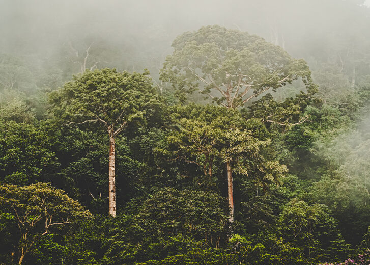 Mehr lesen zu „Klimagipfel gerettet, das Klima noch immer nicht“