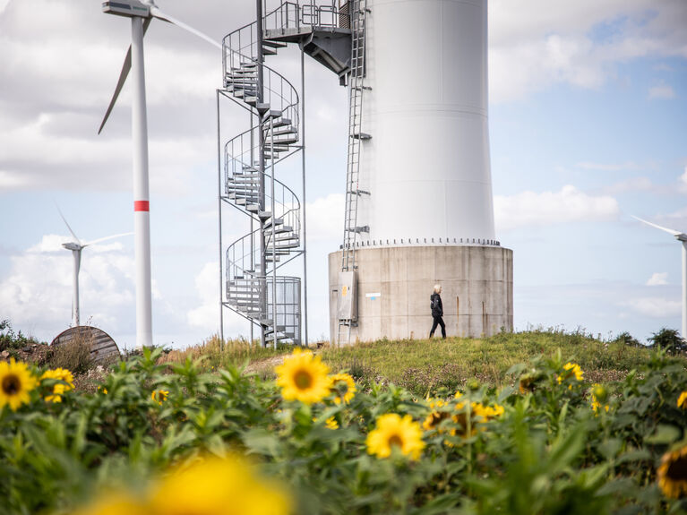 Windkraftanlagen mit Sonnenblumen im Vordergrund