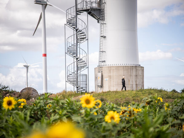 Windkraftanlagen mit Sonnenblumen im Vordergrund