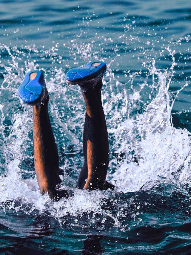 Beine einer Person, die mit Schwimmschuhen ins Wasser eintaucht