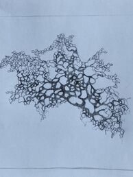 Ursprünglicher Entwurf Ursprünglicher Entwurf