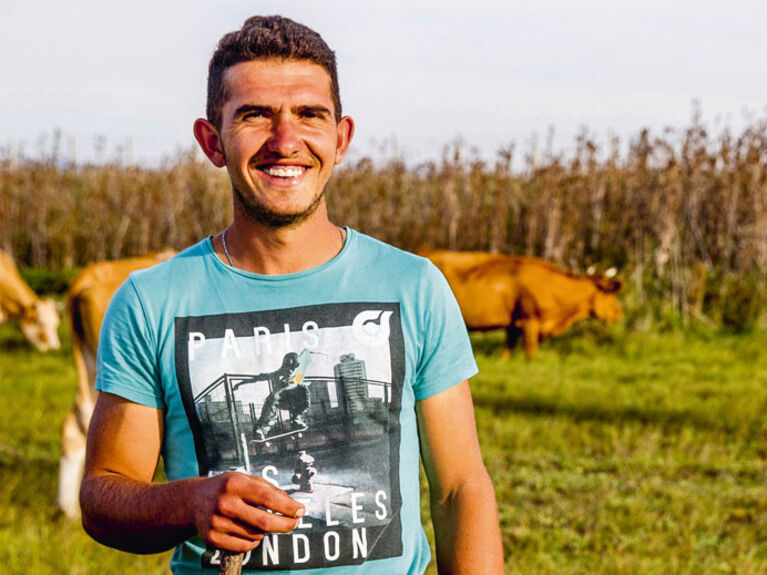 Männlich gelesene Person steht auf einer Weise, im Hintergrund grasen Kühe.