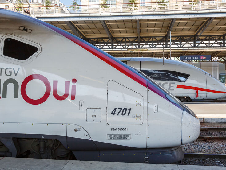 Zwei moderne Hochgeschwindigkeitszüge stehen nebeneinander an einem Bahnsteig.