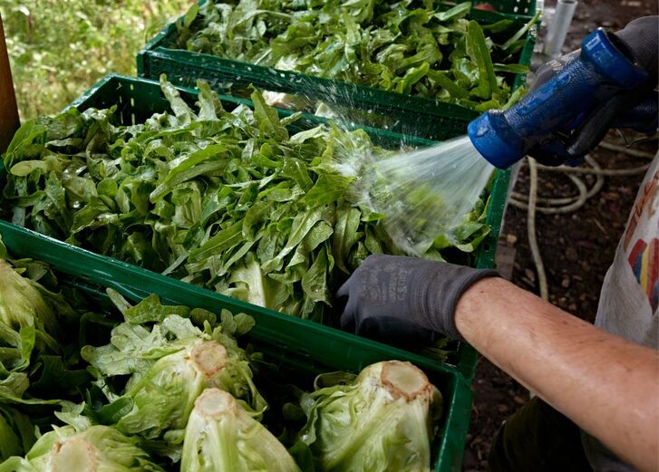 Mehr lesen zu „Neuer Sinnmacher: Unsere Angebote“