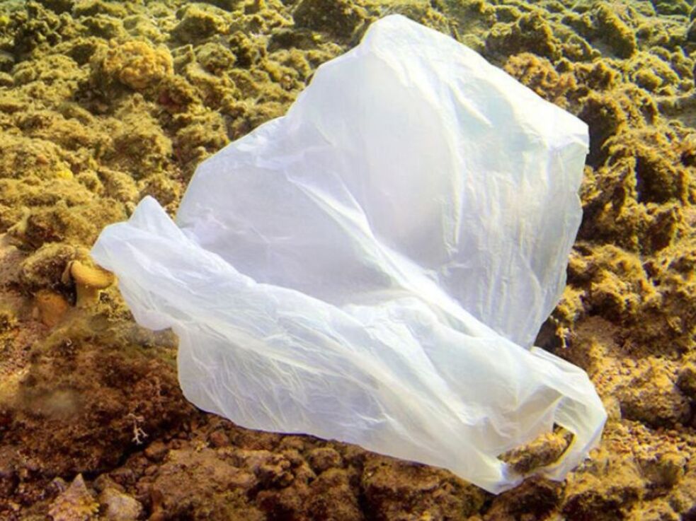Eine Plastiktüte auf dem Meeresboden.