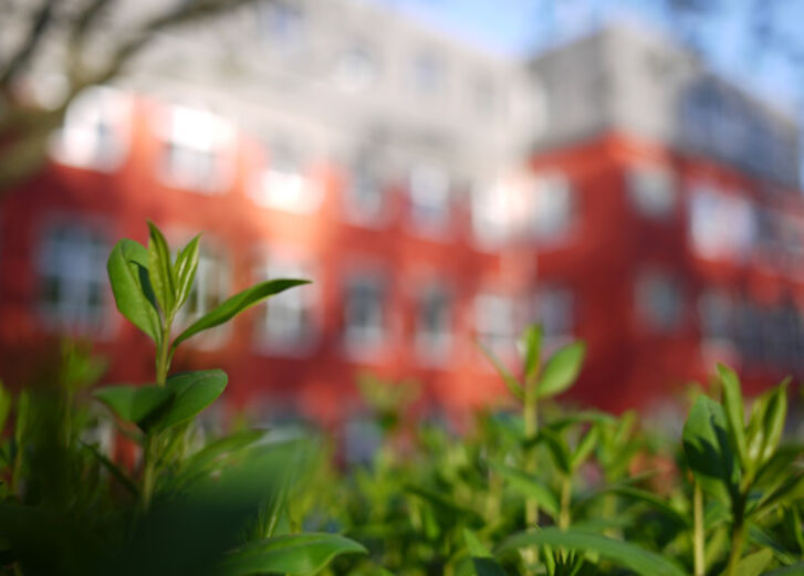 Mehr lesen zu „GLS Aktienfonds erreicht 100 Mio. Euro Volumen“