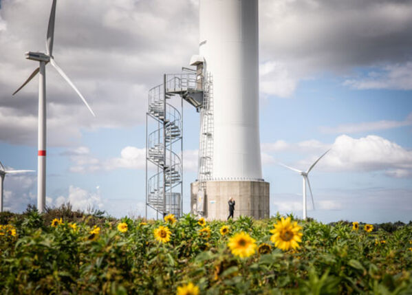 Windpark mit Sonnenblumen im Fordergrund
