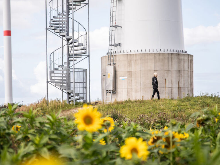 Studie "CO2-neutral bis 2035" Windpark mit Sonnenblumen