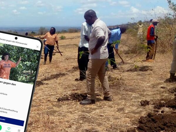 Biodiversen Wald in Ostafrika aufforsten - mit einer Spende in der GLS Banking App Aufforstung in Uganda: Unterstützen per Spende in der GLS Banking App