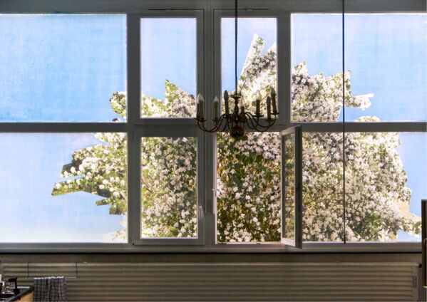 Kunstwerk "Jasmin" auf Fensterglas - Baum in Blüte Kunstwerk "Jasmin" auf Fensterglas - Baum in Blüte