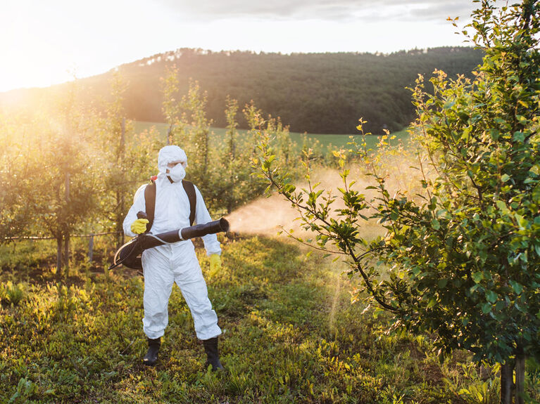 Person in Schutzanzug und mit Mundschutz besprüht Pflanzen
