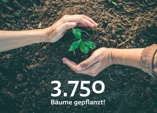Geschafft: 3750 Bäume gepflanzt!