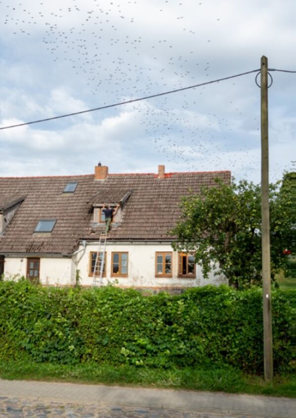 Fotografie von Haus mit Vogelschwarm  Fotografie von Haus mit Vogelschwarm