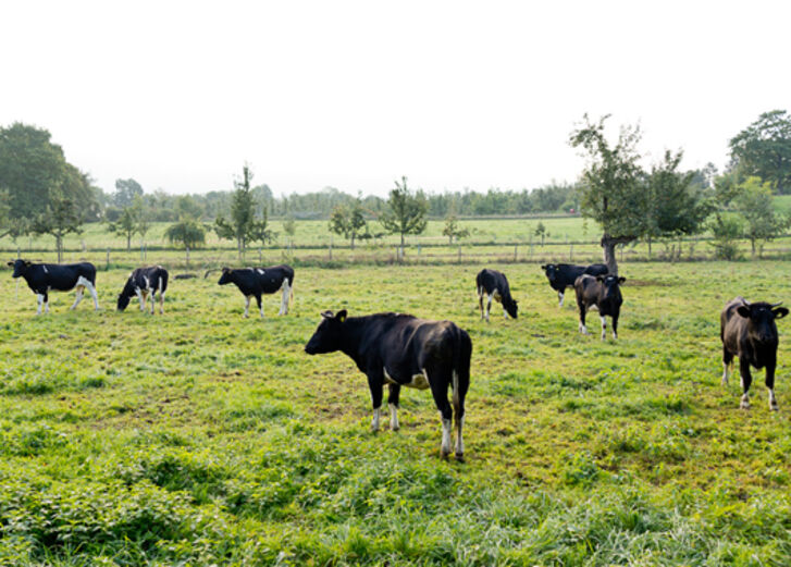 Mehr lesen zu „Verantwortungsvoller Umgang mit Tieren ist möglich“