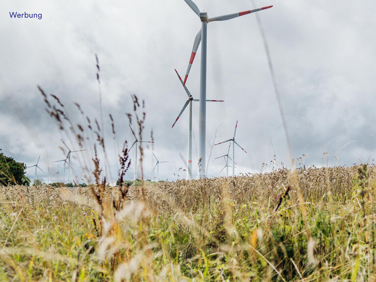 Windräder auf einer Wiese