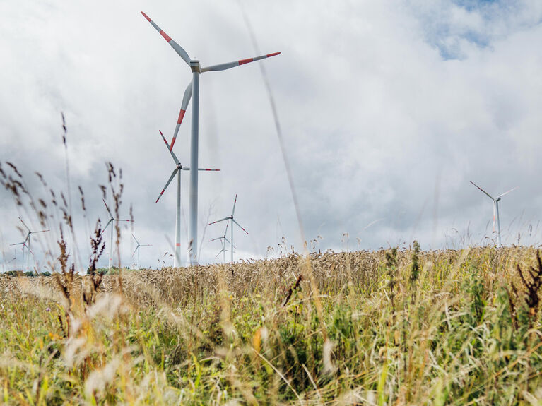 Windräder auf einer Wiese