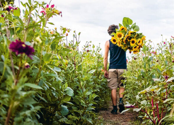 Männlich gelesene Person geht durch ein Blumenfeld mit einem großen Strauß an Sonnenblumen auf der Schulter.